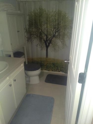 a bathroom with a toilet and a tree in the background at Curt's cozy room rentals in Wendover