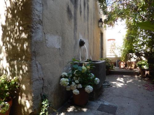 a corner of a building with flowers and a fountain at Face au Palais in Avignon