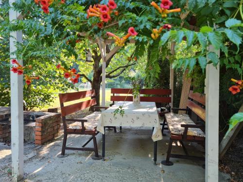 a table and two chairs under a tree with flowers at Fertődi Kúria Vendégház in Fertőd