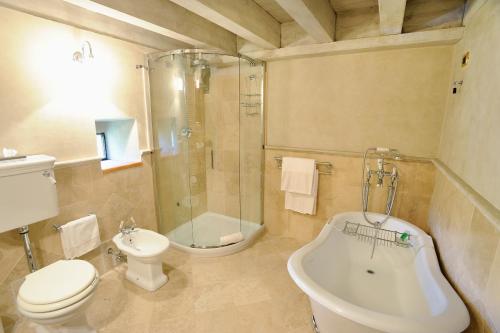 a bathroom with a toilet and a shower and a sink at Relais La Colombara Spa & Wellness in Travo