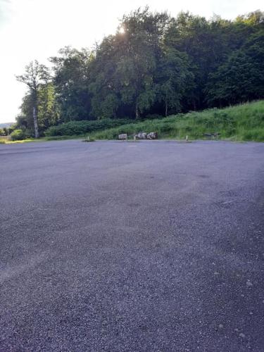 an empty parking lot with two animals sitting in the grass at Auberge du Raddon in Raddon-et-Chapendu