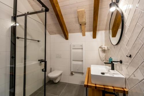 a bathroom with a sink and a toilet at Benátky 214 in Vranov nad Dyjí