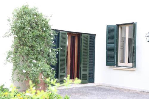 a white house with green shutters and a tree at B&B Il Giardino di Paola in Alliste