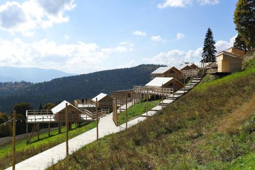 Příroda nedaleko luxury tent