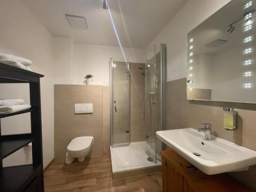 La salle de bains est pourvue d'un lavabo, d'une douche et de toilettes. dans l'établissement Apartment mit Terrasse No1, à Quedlinbourg