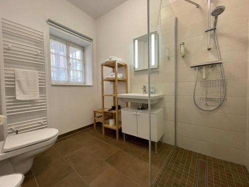 W łazience znajduje się toaleta, umywalka i prysznic. w obiekcie Apartment mit Terrasse No3 w mieście Quedlinburg