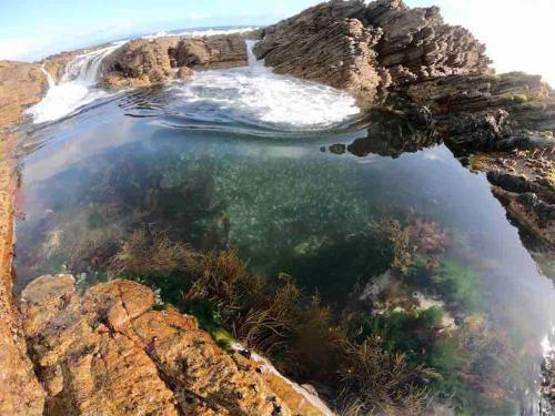 a pool of water on the side of a cliff at Whales & Waves in Hermanus