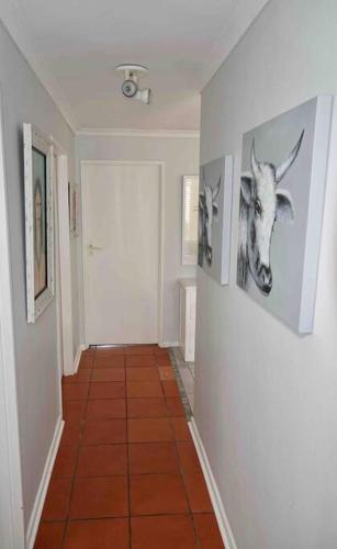 a hallway with a picture of a deer on the wall at Whales & Waves in Hermanus