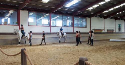 Επισκέπτες που μένουν στο equi-art Reitanlage