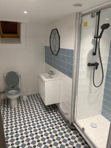a bathroom with a shower and a sink and a toilet at Le petit paradis in Outreau