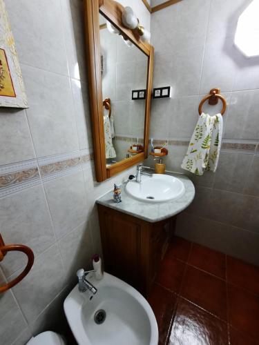 uma casa de banho com um lavatório, um espelho e um WC. em Casa de Abuela Petra em Gáldar