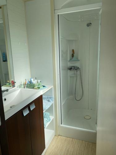 une salle de bain avec douche et lavabo dans l'établissement Driftwood, à Erdeven