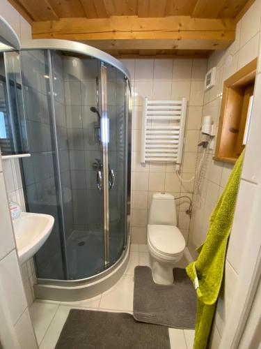 La salle de bains est pourvue d'une douche, de toilettes et d'un lavabo. dans l'établissement Domki Camping Harenda, à Zakopane