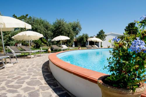 a swimming pool with chairs and umbrellas next to it at Orosei Summer Holidays - Cala del Turco green house in Orosei