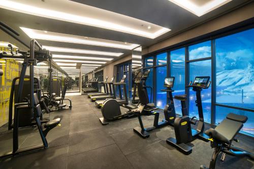 Γυμναστήριο ή/και όργανα γυμναστικής στο Radisson Blu Hotel, Mount Erciyes
