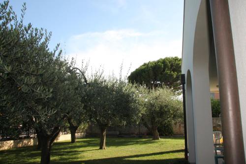 a view of a garden with trees in the grass at Residence Villa Carmen fronte mare a 50 mt in Pietra Ligure