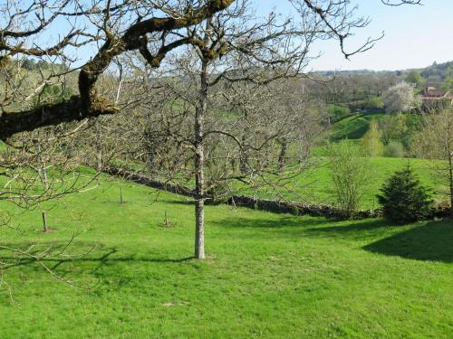 a tree in a field of green grass at Holiday Home Cazals by Interhome in Teyssieu