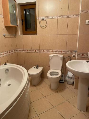 a bathroom with a tub and a toilet and a sink at Mikerynos 1 in Sinaia