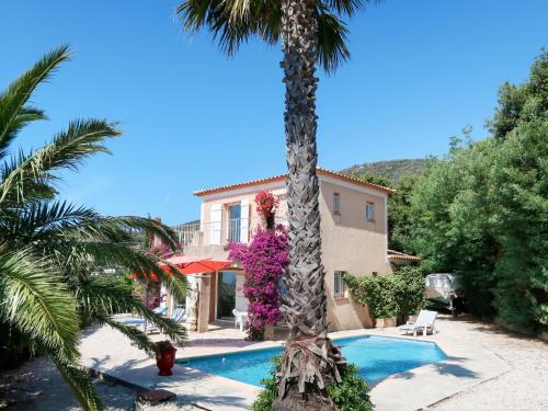 a palm tree next to a house with a swimming pool at Holiday Home Yalou by Interhome in Cavalaire-sur-Mer
