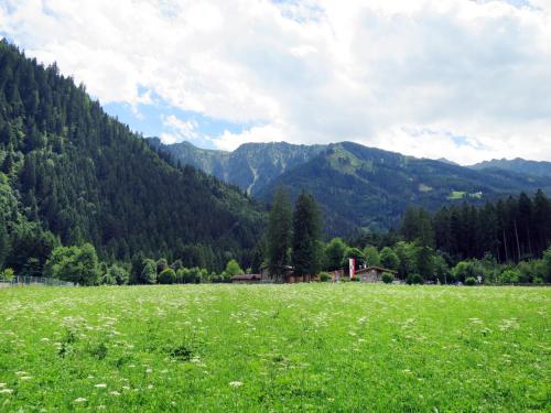 pole zielonej trawy z górami w tle w obiekcie Apartment Gredler-2 by Interhome w Mayrhofen