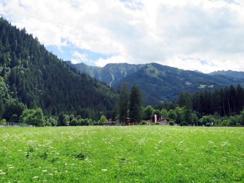 a field of green grass with mountains in the background at Apartment Gredler by Interhome in Mayrhofen