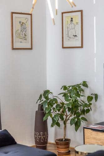 a plant sitting on a table with two pictures on the wall at Apartmány Marienhof in Znojmo