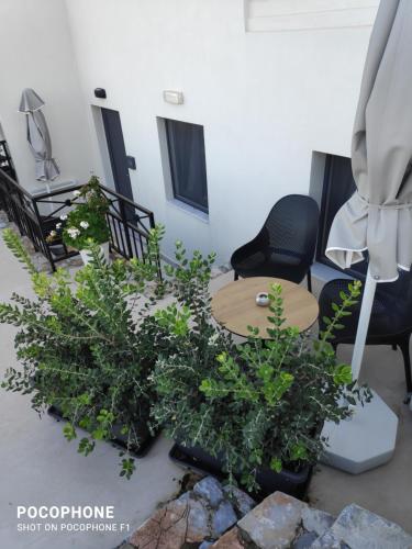 a room with two chairs and a table and some plants at Minois Boutique Hotel in Stalida