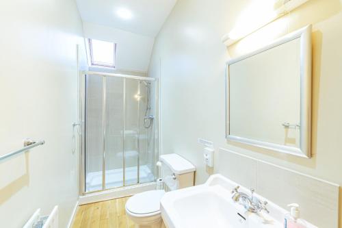 a bathroom with a toilet and a sink and a mirror at Wallace Apartment in Newton Stewart