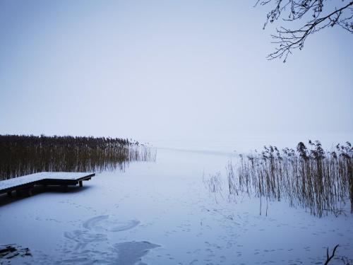 a bench sitting in the middle of a body of water at Ostoja Stacze in Stacze