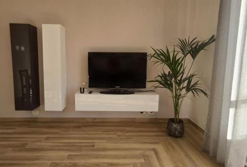 un televisor sentado en un puesto blanco en una habitación con una planta en Casa Mare d'Arancio, en Bordighera