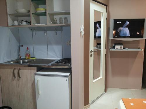 Kitchen o kitchenette sa Apartments Iva