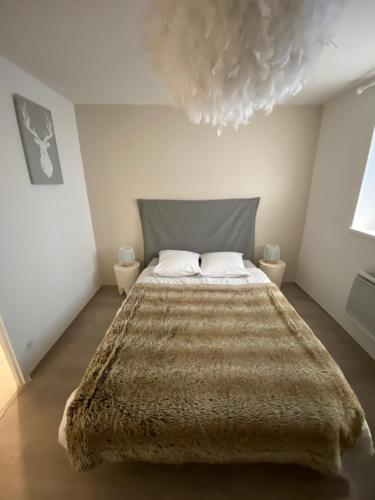 een slaapkamer met een groot bed en een bruine deken bij MSM locations in Luxeuil-les-Bains