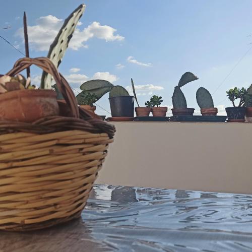 Φωτογραφία από το άλμπουμ του Ficodindia Rooms σε Sortino