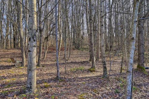 Φωτογραφία από το άλμπουμ του Pet-Friendly Home with Grill and Farm in Meadowview! σε Meadowview