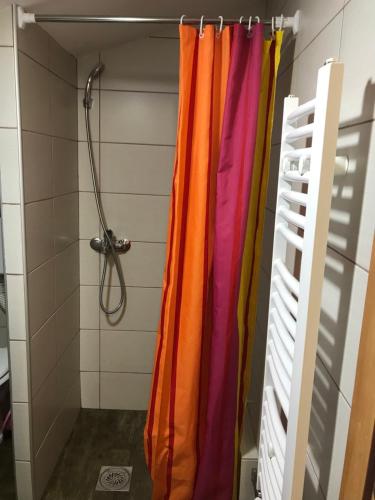 uma cortina de chuveiro numa casa de banho ao lado de um chuveiro em Jefimija em Jasikovice