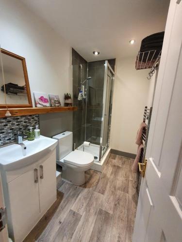a bathroom with a toilet and a shower and a sink at Riverwood Retreat - Self Contained Lux Apartment, Close to the Celtic Resort in Kemeys Inferior