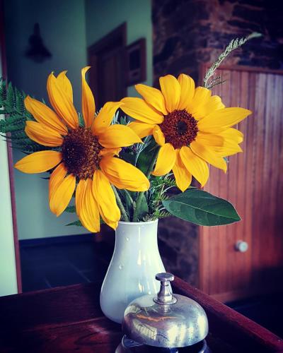three yellow flowers in a white vase on a table at Casa Rural Norita - Adults only in Lourenzá