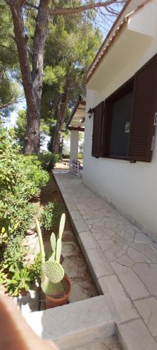 a garden with a plant in a pot next to a house at Villa del Sole in Manduria