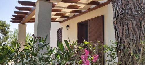 a house with a tree and flowers in front of it at Villa del Sole in Manduria