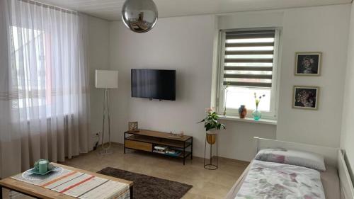sala de estar con cama y TV de pantalla plana en Grenznahe Ferienwohnung mit 4 Schlafzimmern en Grenzach-Wyhlen