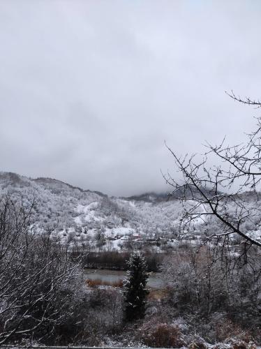 a snow covered hill with a town in the distance at Nad Cheremoshem in Tyudiv