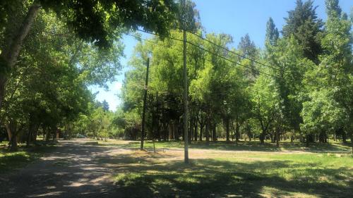 a park with trees and a telephone pole at Entrepinos in Mendoza