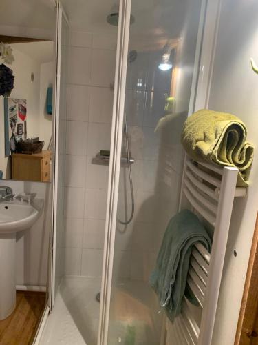 une douche avec une porte vitrée à côté d'un lavabo dans l'établissement Chambres , Mere Veille, à Vaux-en-Beaujolais