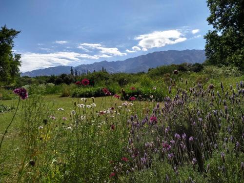 sOmOs nAtUraLeZa – Photos 3