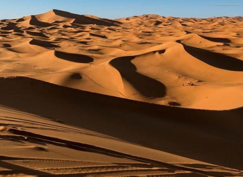 a sand dune in the desert with its shadows at Chegaga Nomad Camp in El Gouera