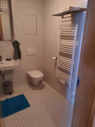 a bathroom with a toilet and a sink at Apartmán u sjezdovky Filipovice in Filipovice