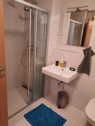Koupelna v ubytování Apartmán u sjezdovky Filipovice