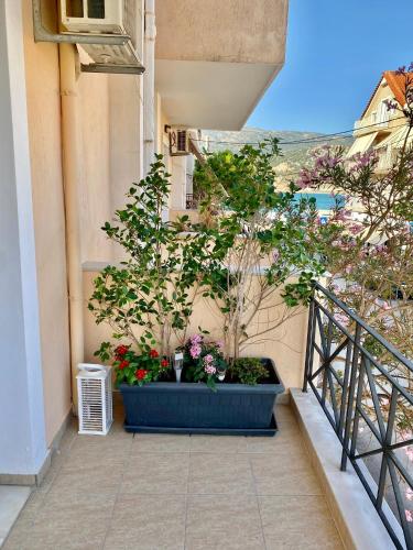 Μπαλκόνι ή βεράντα στο Filippos Apartments