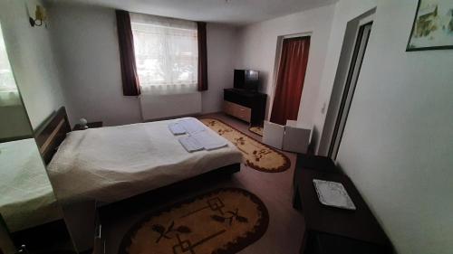 a bedroom with two beds and a television in it at Pension Waldburg in Râşnov