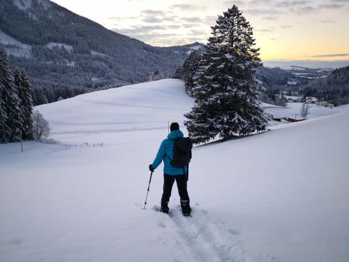 a person is cross country skiing in the snow at Jungholz Erlebnis in Jungholz